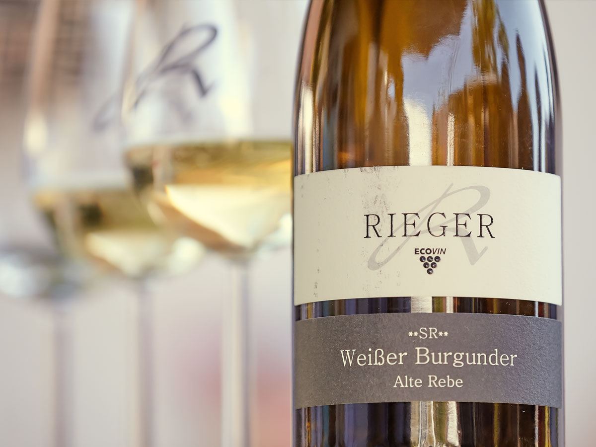 Bioweingut Rieger Buggingen - Weinprobe im Weingut