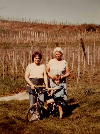 Weingut Rieger - Historie