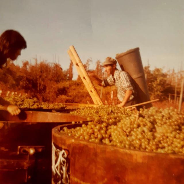 Weingut Rieger - Historie