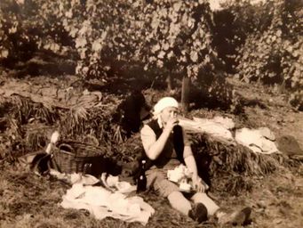 Weingut Rieger - Historie