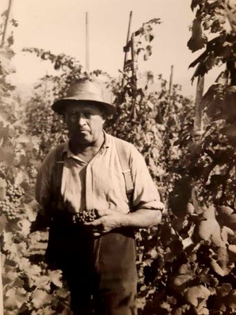 Weingut Rieger - Historie