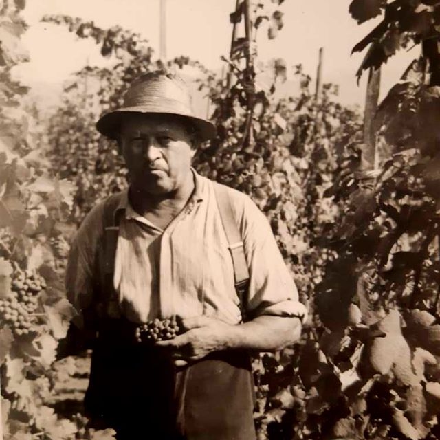 Weingut Rieger - Historie