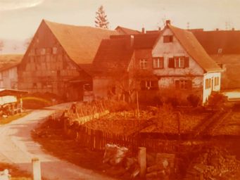 Weingut Rieger - Historie