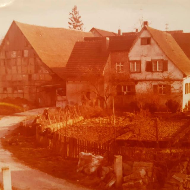 Weingut Rieger - Historie