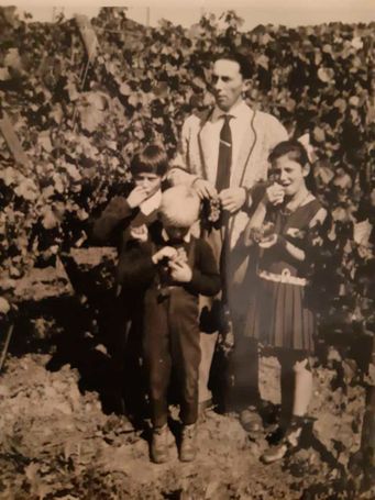 Weingut Rieger - Historie