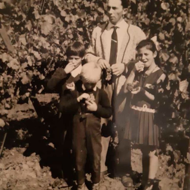 Weingut Rieger - Historie