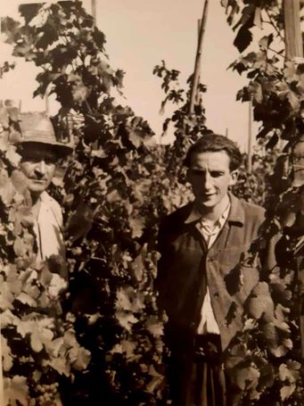 Weingut Rieger - Historie
