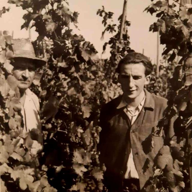 Weingut Rieger - Historie